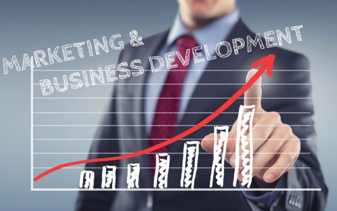 Marketing & Business Development Planning and Budgeting